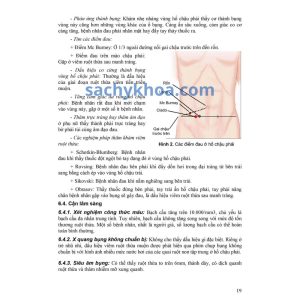 bai giang benh hoc ngoai khoa y4 h2
