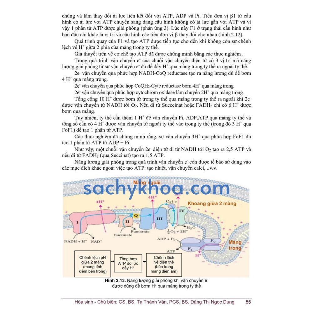 Hóa Sinh (ĐH Y Hà Nội) Hóa Sinh (ĐH Y Hà Nội) - Ảnh 2