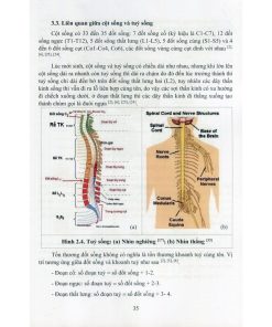 Phục Hồi Chức Năng Tổn Thương Tủy Sống phuc hoi chuc nang ton thuong tuy song ml3