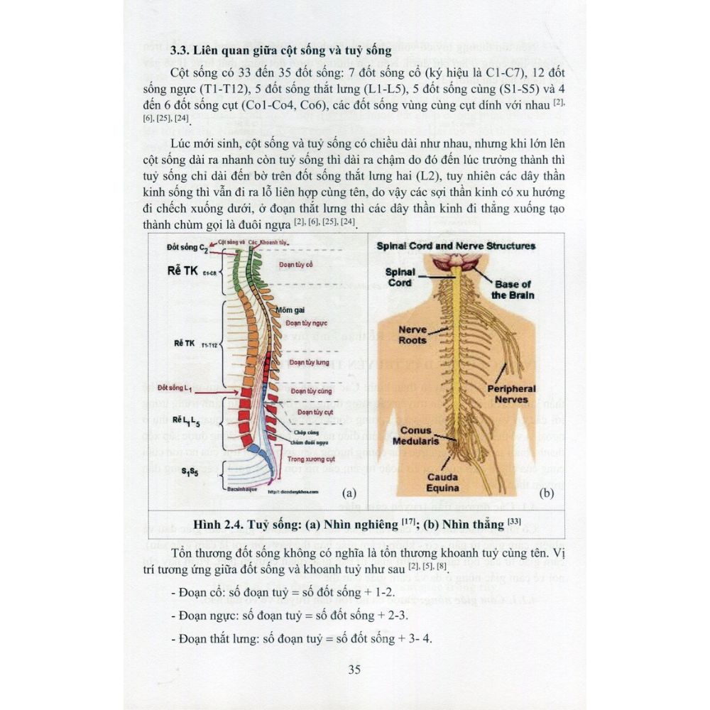 Phục Hồi Chức Năng Tổn Thương Tủy Sống Phục Hồi Chức Năng Tổn Thương Tủy Sống - Ảnh 4
