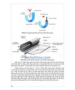 Bào Chế Và Sinh Dược Học tập 1+2 (2025) bcsdh2025
