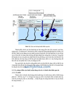 Bào Chế Và Sinh Dược Học tập 1+2 (2025) bcsdh20254