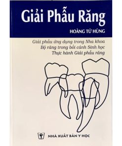 giải phẫu răng