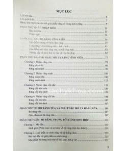 giai phau rang ml1
