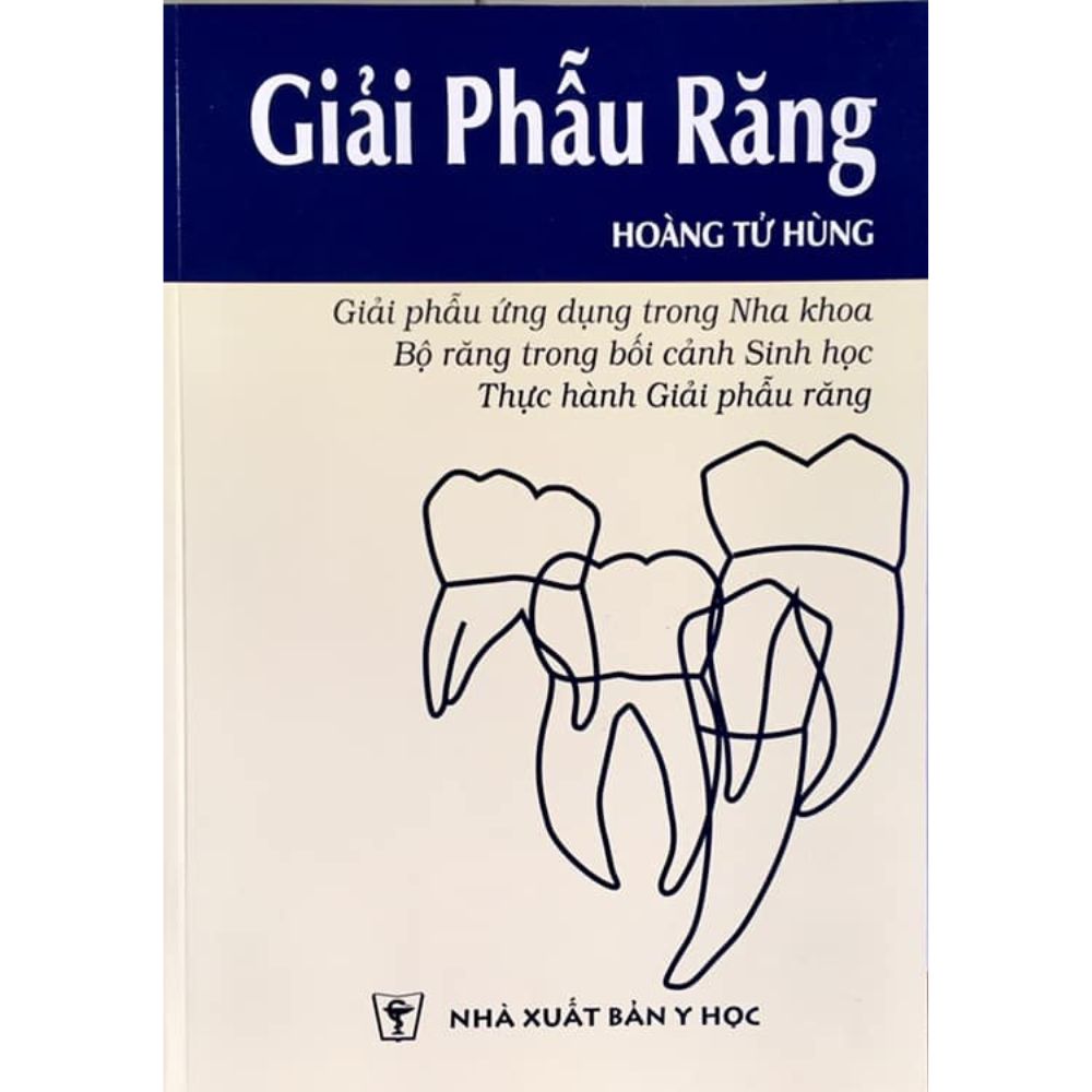 giải phẫu răng