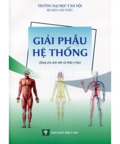 giải phẫu hệ thống