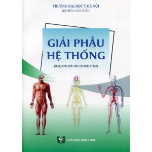 giải phẫu hệ thống