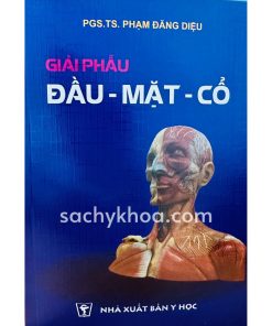 giải phẫu đầu mặt cổ