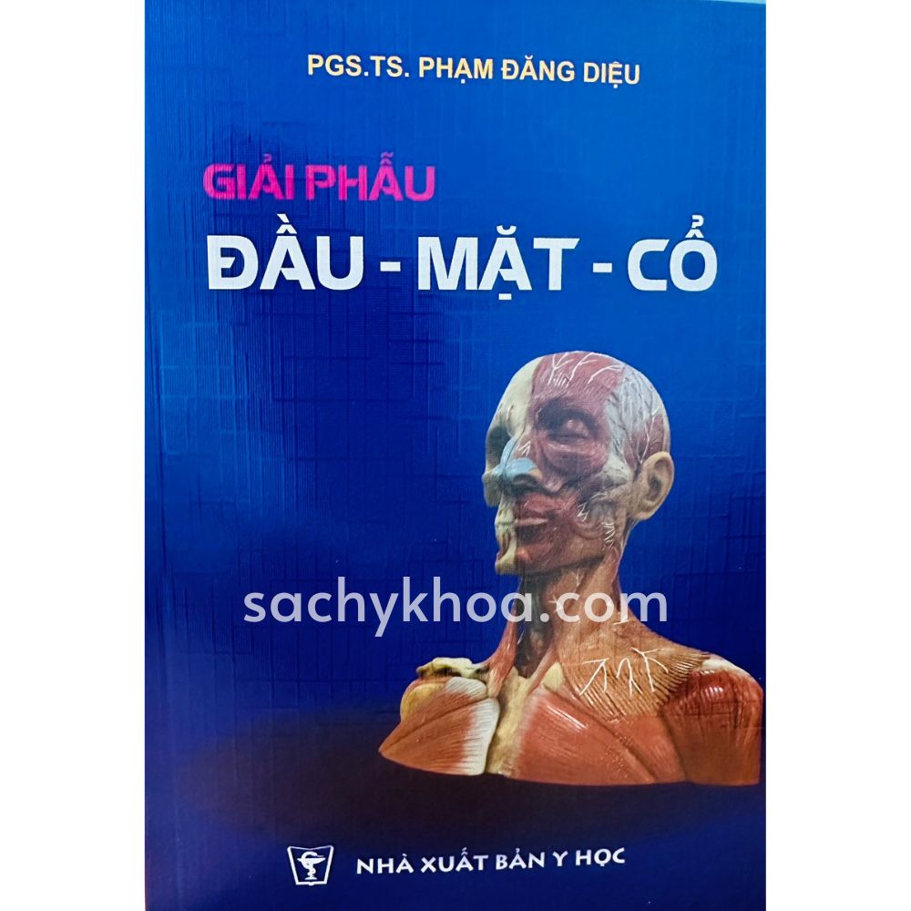 giải phẫu đầu mặt cổ