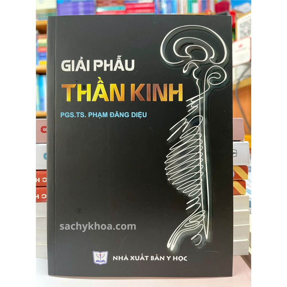 giải phẫu thần kinh